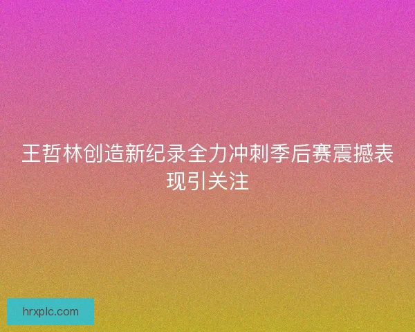 王哲林创造新纪录全力冲刺季后赛震撼表现引关注